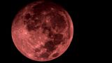 Der Mond leuchtet rötlich als "Blutmond" über Rio de Janeiro