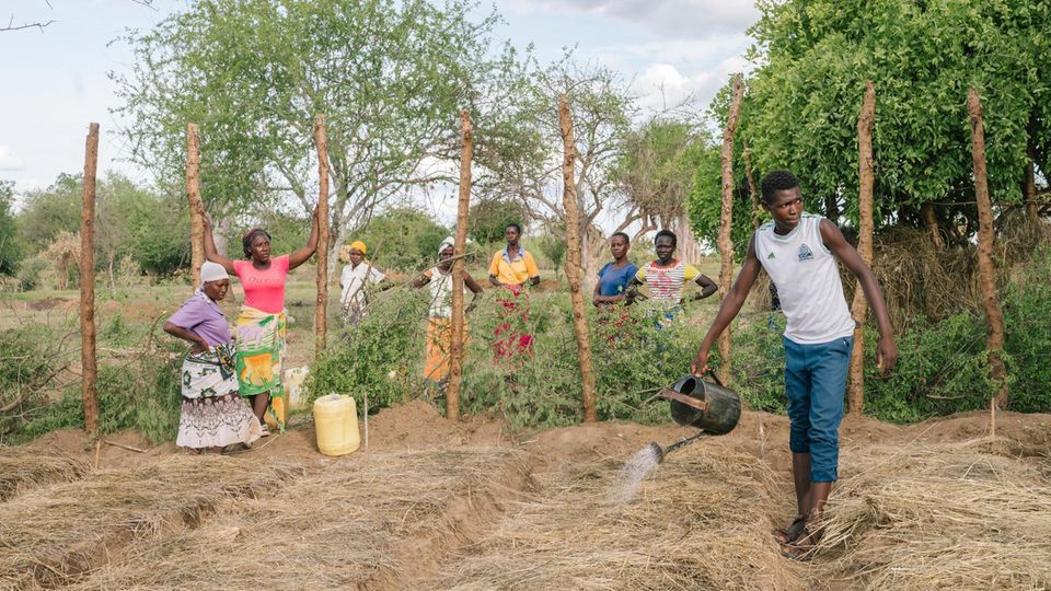 Andere Pflanzen, mehr Erträge: Männer und Frauen aus Kinakoni wässern ein Versuchsfeld