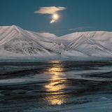 Paolo Verzone: Spitzbergen