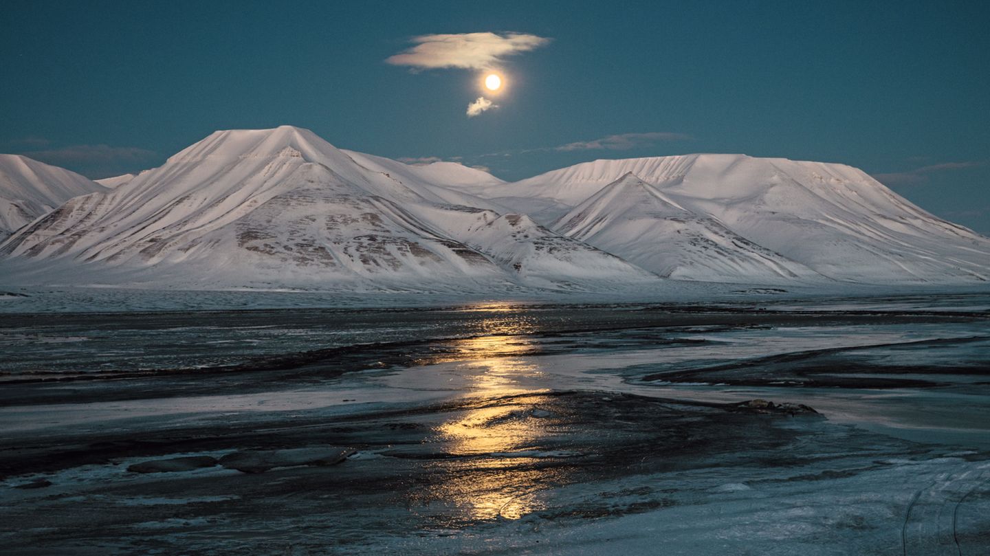 Paolo Verzone: Spitzbergen