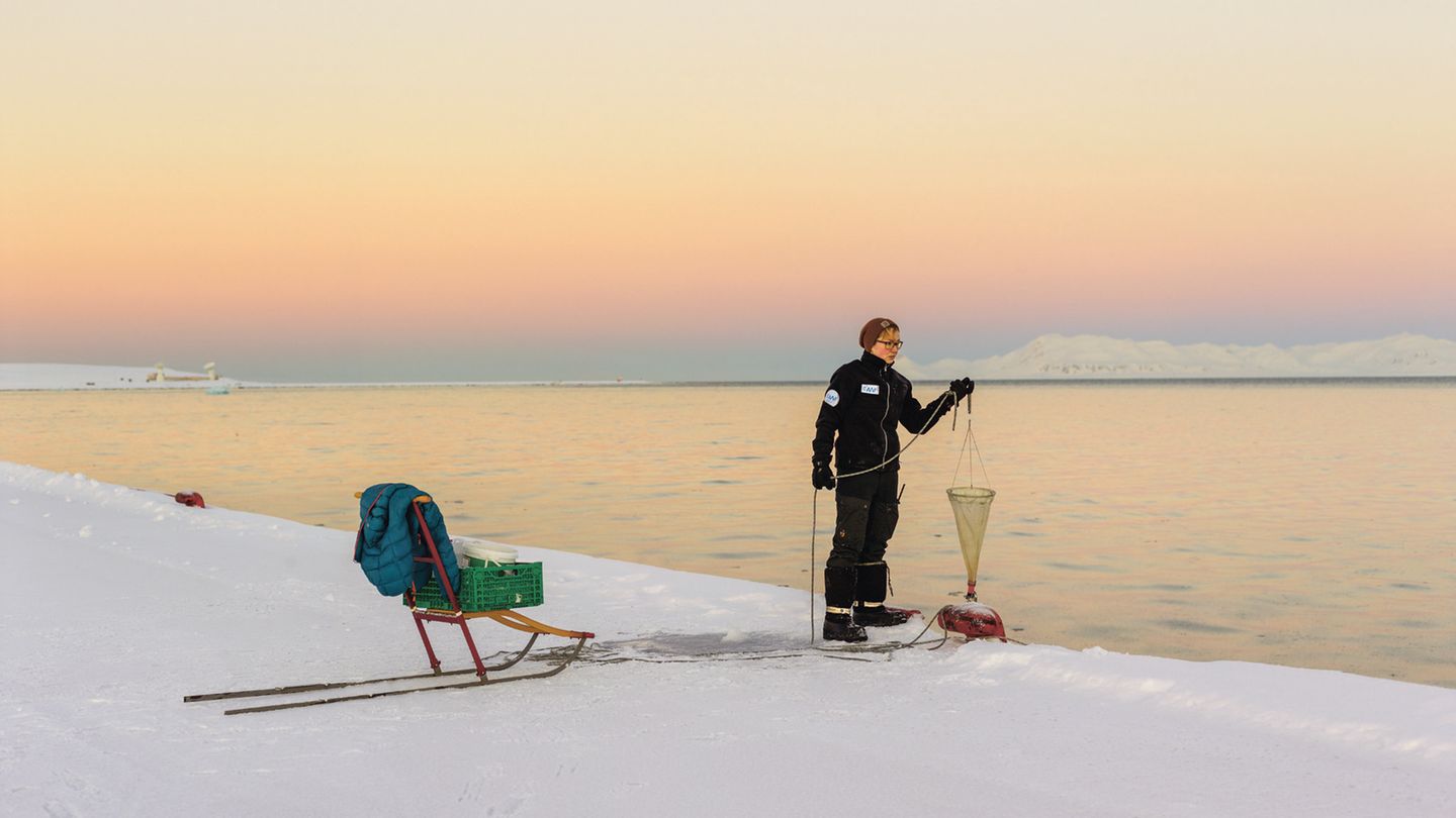 Paolo Verzone'nin Spitsbergen fotoğrafları: Buzda ve yalnızlıkta