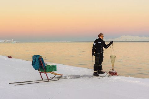 Paolo Verzone: Spitzbergen