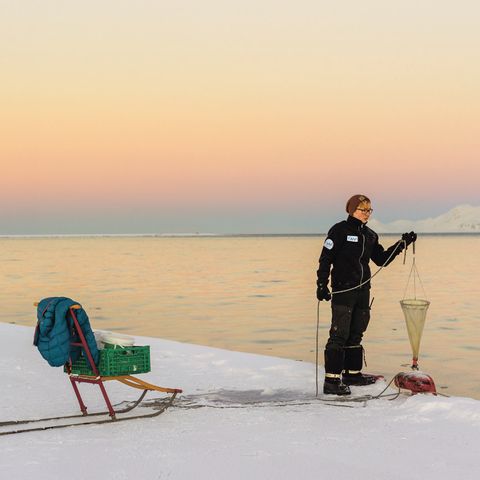 Paolo Verzone: Spitzbergen
