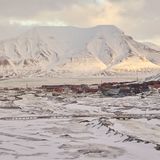 Paolo Verzone: Spitzbergen