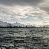 Paolo Verzone: Spitzbergen