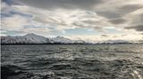 Paolo Verzone: Spitzbergen