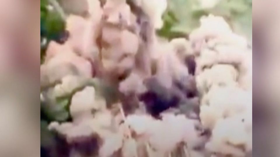 Ukraine-Krieg: Russischen Vormarsch verlangsamt: Video zeigt Brücken-Sprengung in Luhansk Ukraine-Krieg: Russischen Vormarsch verlangsamt: Video zeigt Brücken-Sprengung in Luhansk