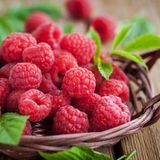 Himbeeren in einer Schale