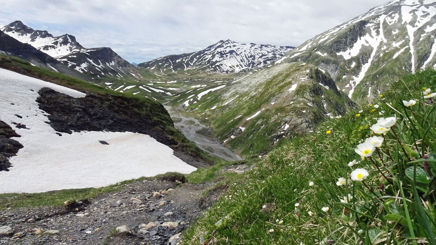 Greina-Hochebene vom Pass Diesrut