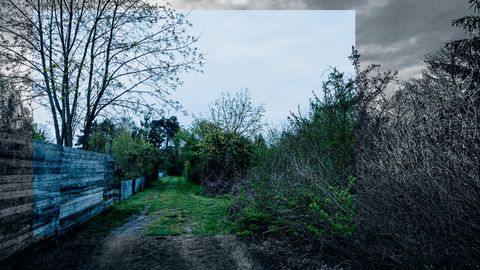 Schrebergarten