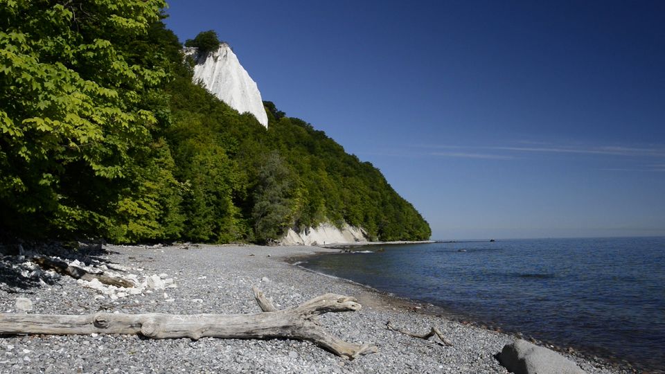 Berühmter Königsstuhl auf Rügen: Kreidefelsen den ganzen Sommer gesperrt