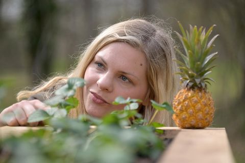 Hochbeet im Garten: Selber bauen oder fertig kaufen – der Test