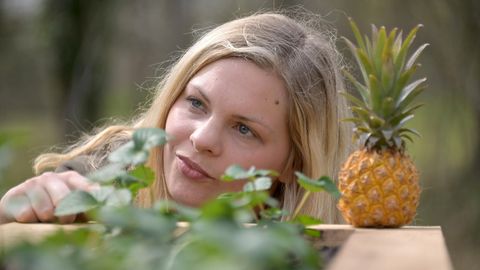 Hochbeet im Garten: Selber bauen oder fertig kaufen – der Test