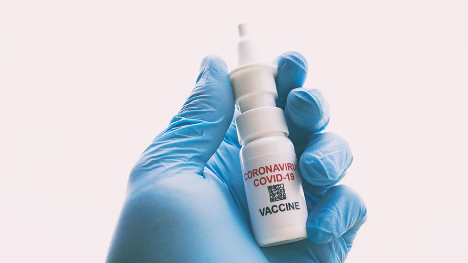 Forscher Entwicklung Impfung Gegen Corona als Nasenspray