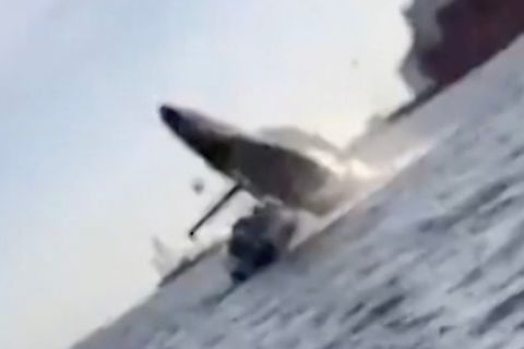 Wal springt auf Touristenboot und verletzt vier Menschen