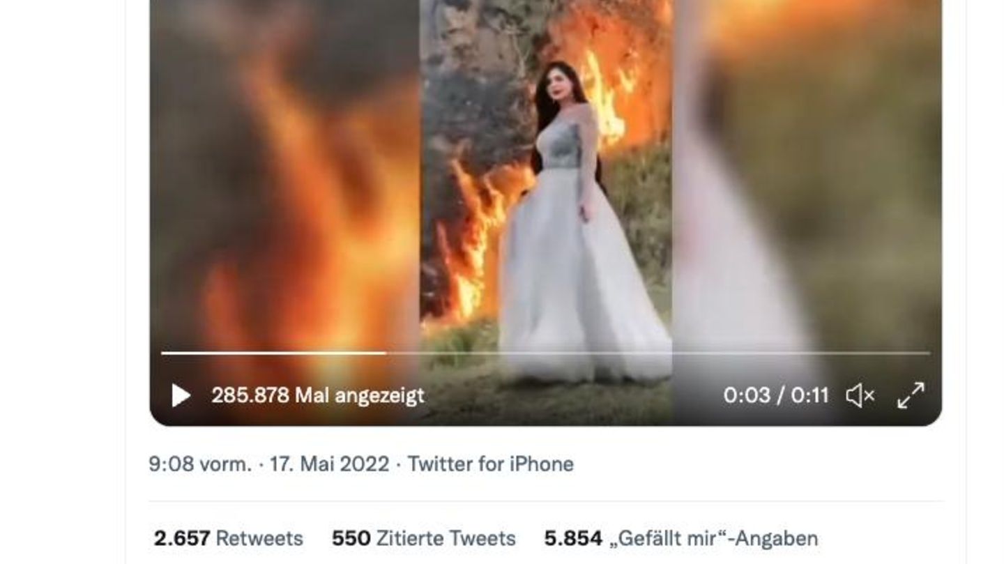 Die Tiktokerin Dolly ließ sich vor einem brennenden Naturschutzgebiet ablichten