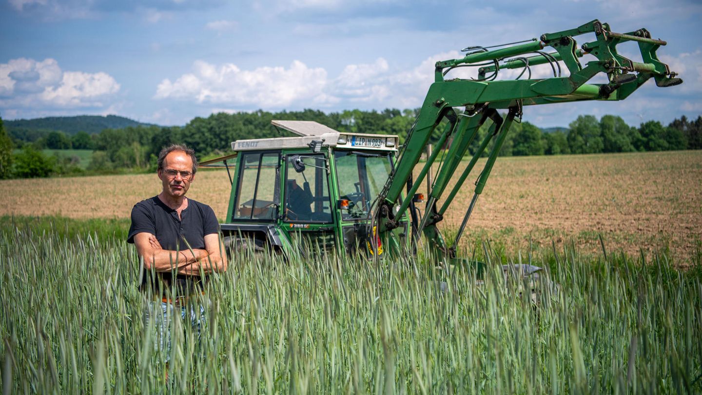Ulf Allhoff-Cramer, Landwirt, steht in einem Roggen-Feld vor seinem Traktor.