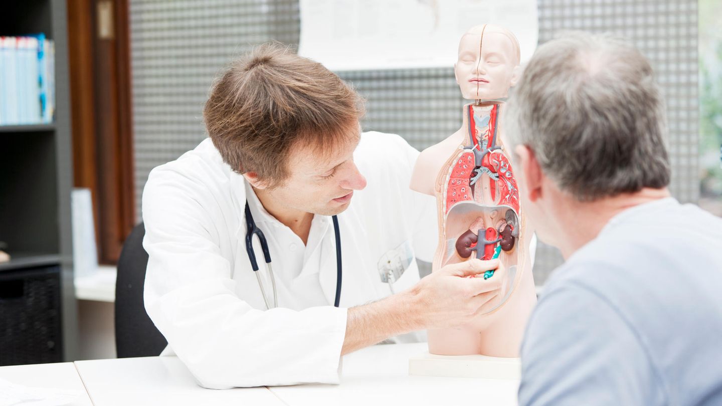 Beratungsgespräch beim Nephrologen