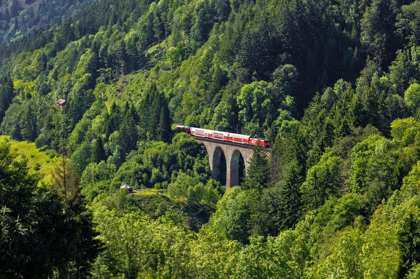 9 euro ticket: by train across the Ravenna Bridge By train across the Ravenna Bridge