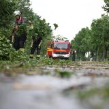 Tornado lässt Bäume bei Lippstadt umkippen