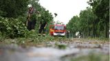 Tornado lässt Bäume bei Lippstadt umkippen