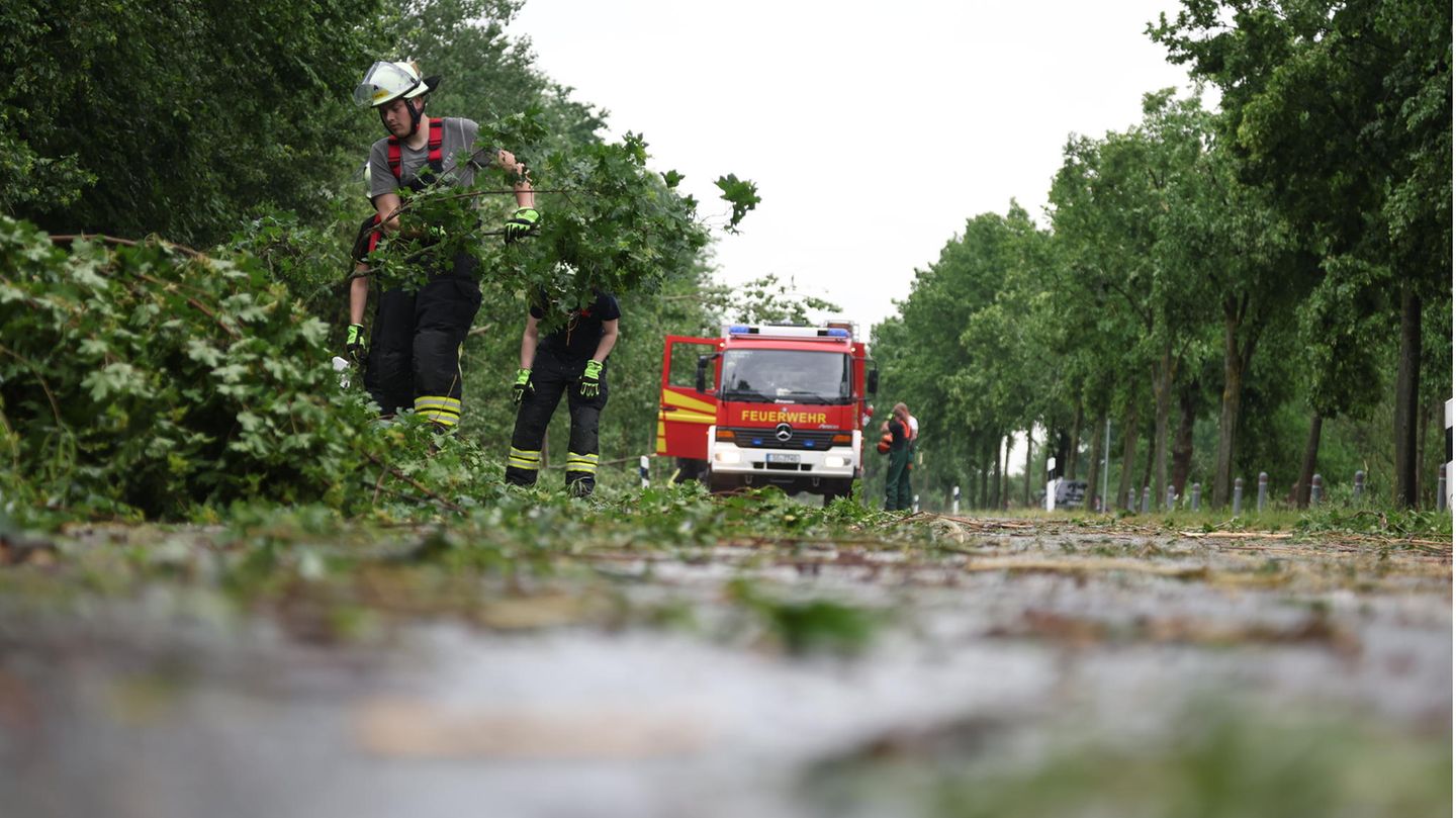 Tornado lässt Bäume bei Lippstadt umkippen