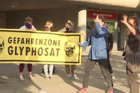 Video: Aktionen von "Extinction Rebellion" und "Letzte Generation" in Berlin