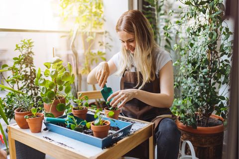 Balkonpflanzen: So pflegen Sie Ihre Blumen im Sommer richtig