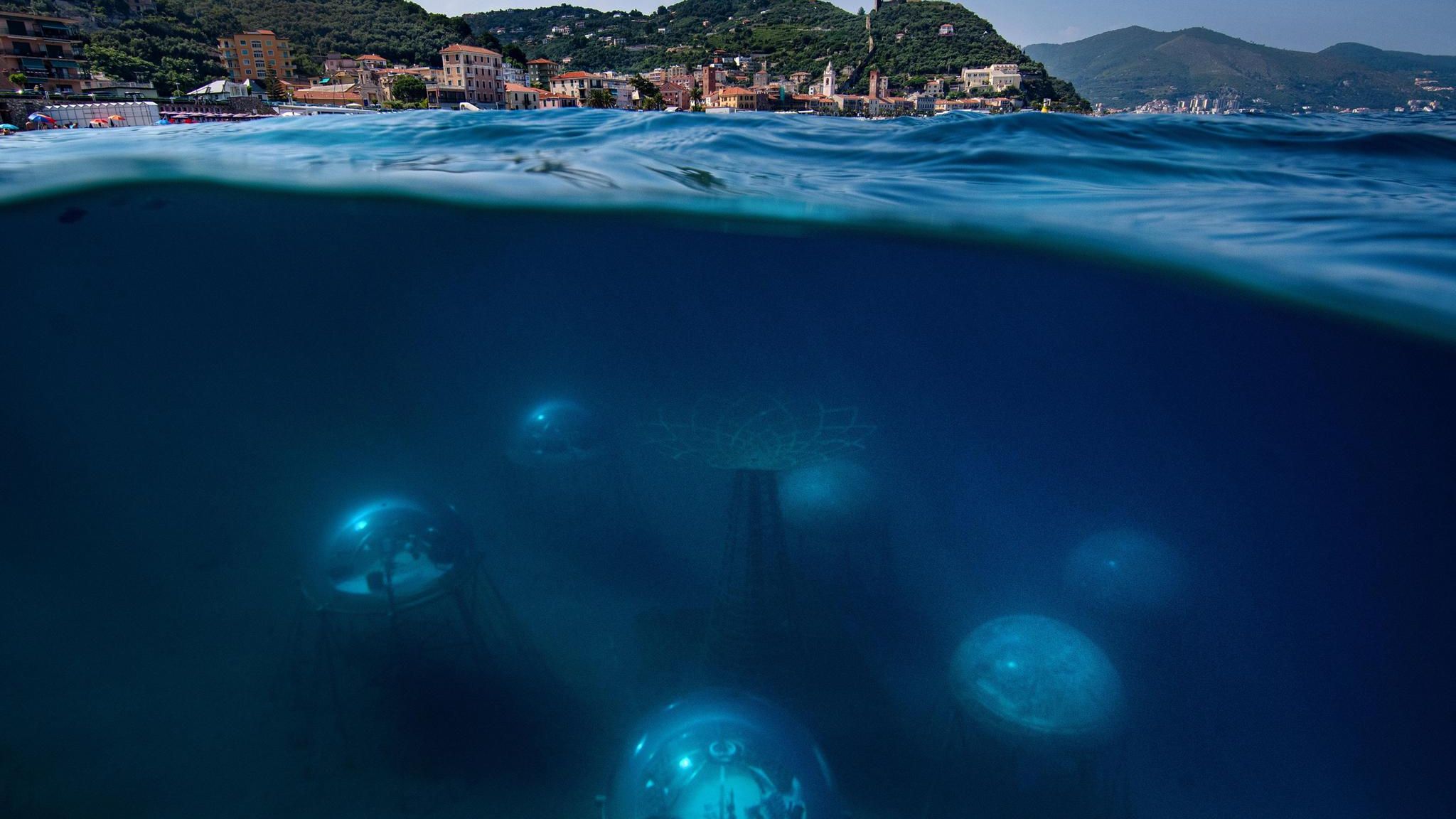 Unterwasseraufnahme von den Biosphären