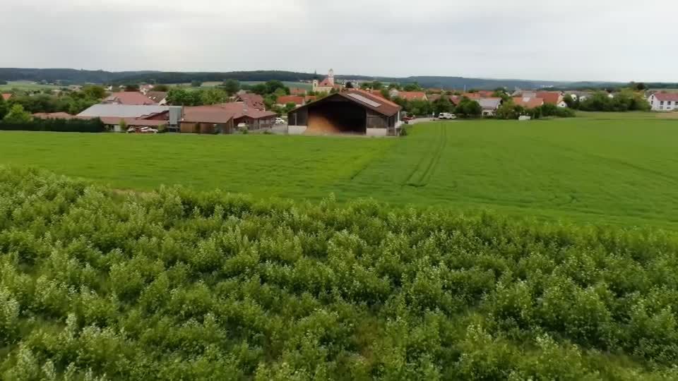 Video: Ist Holz die Energie der Zukunft?