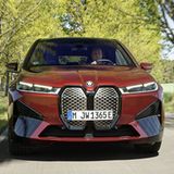 Die wuchtige Front mit der üppigen Niere