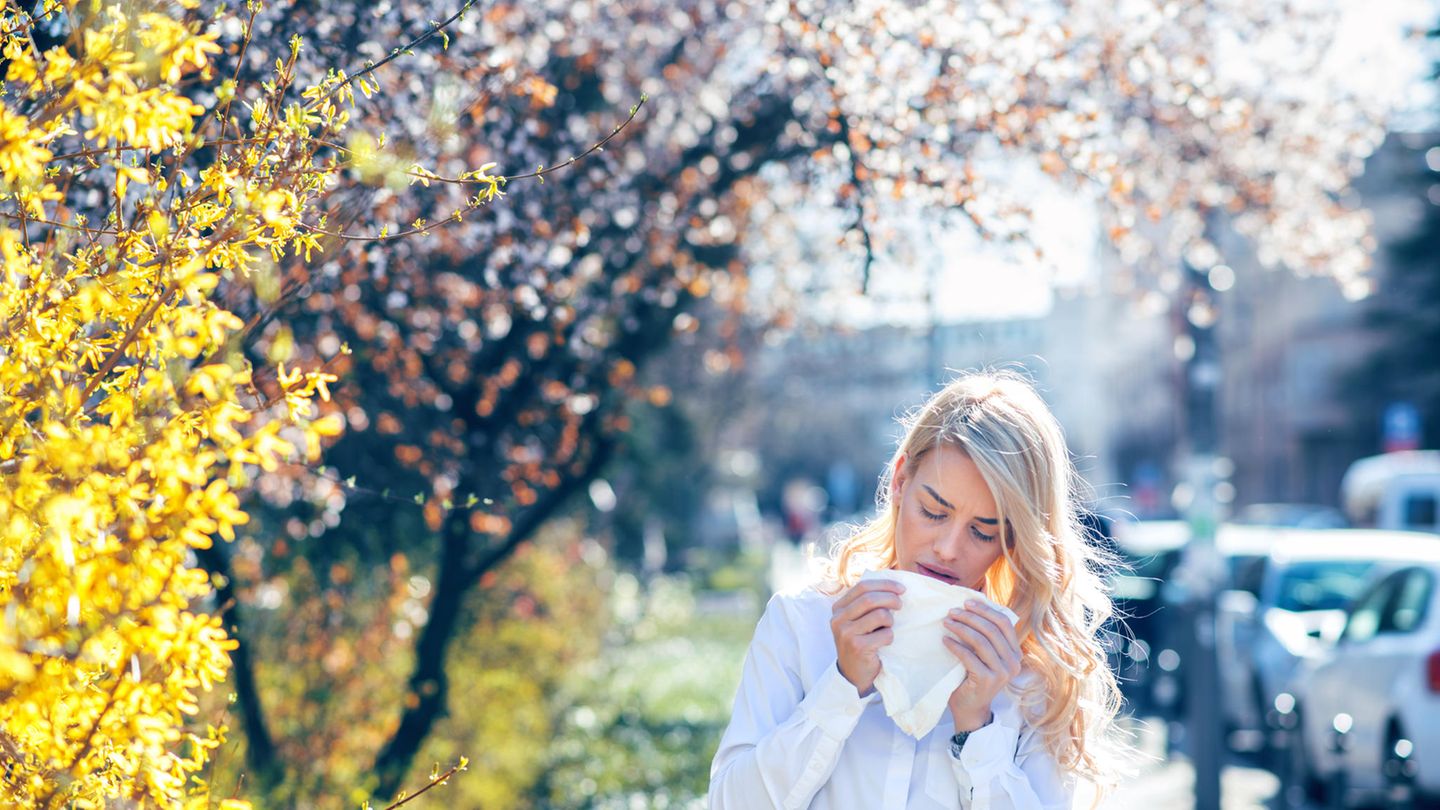 Allergies: Can you answer all the questions in our knowledge test?