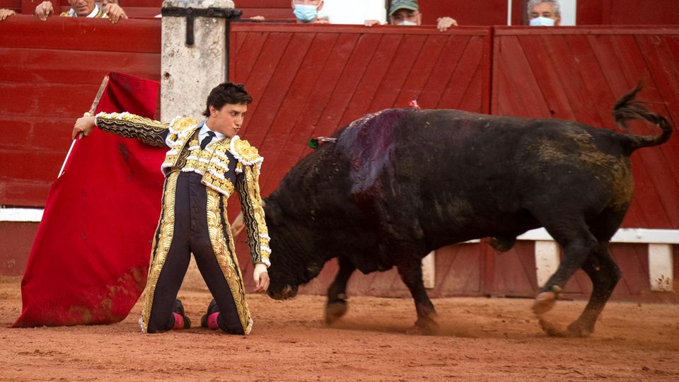 Ein Stierkampf in der "Plaza de Toros". Das Tier blutet bereits stark am Rücken.