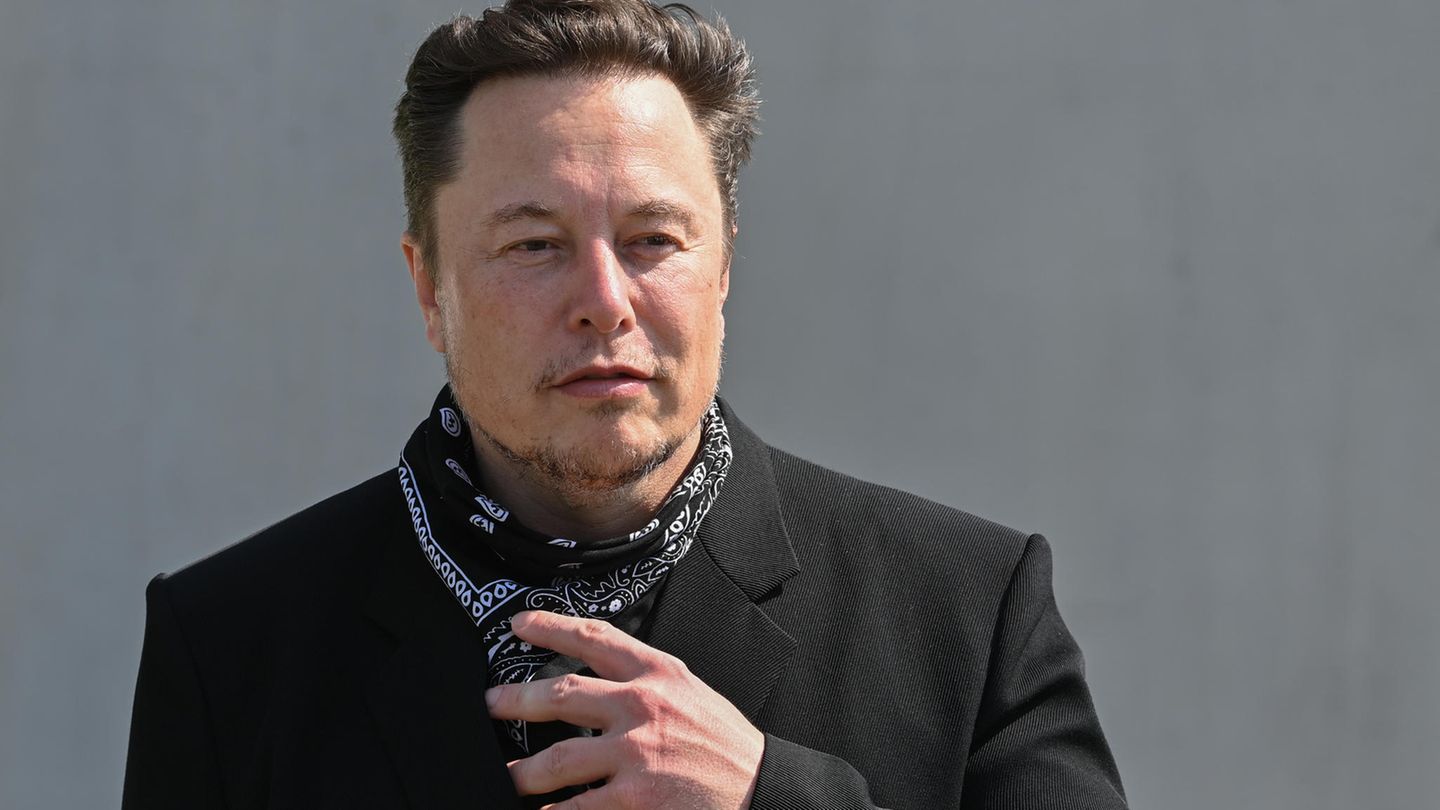 Elon Musk spricht über Johnny Depp und Amber Heard: 
