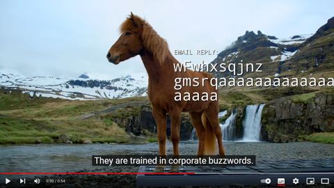 OutHorse Your Email to Iceland’s Horses