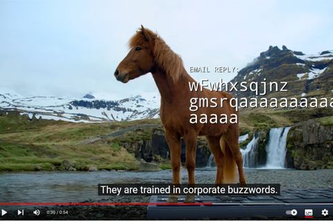 OutHorse Your Email to Iceland’s Horses