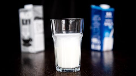 Glas Milch vor zwei Packungen Milch, einer pflanzlichen Milch und einer Kuhmilch