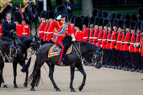 Prinz William