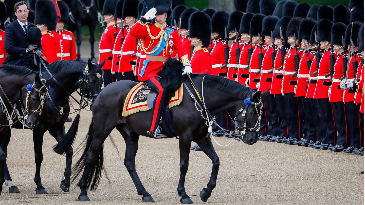 Prinz William