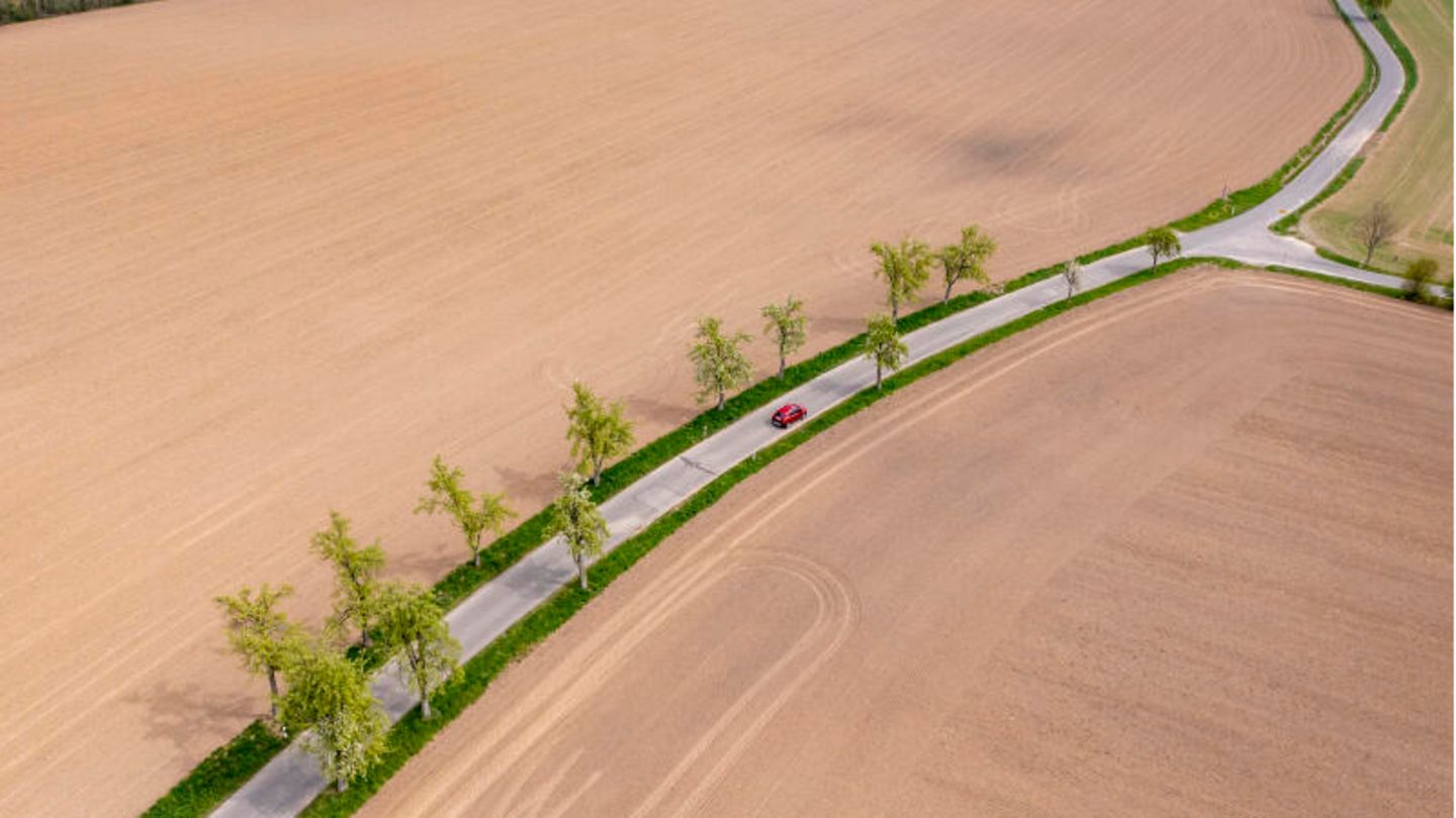 Ein Auto fährt über eine Straße mit grünen Bäumen führt zwischen zwei braunen Feldern hindurch