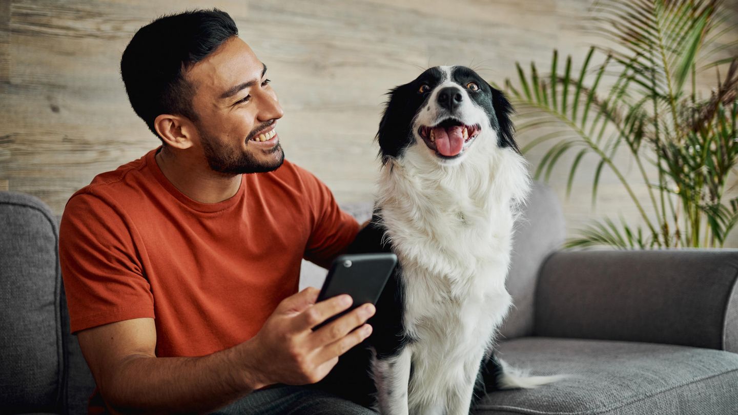 Um Verlassensängste zu vermeiden und das Alleinsein zu trainieren, kann sich eine Hundekamera unterstützend anbieten