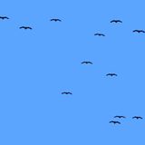 Die im Brutgebiet einsiedlerisch lebenden Schreiadler zeigen sich auf dem Zug und im Winterquartier gesellig. Gemeinsam schrauben sie sich morgens in den durch die Erwärmung des Untergrunds entstehenden Aufwinden in die Höhe.