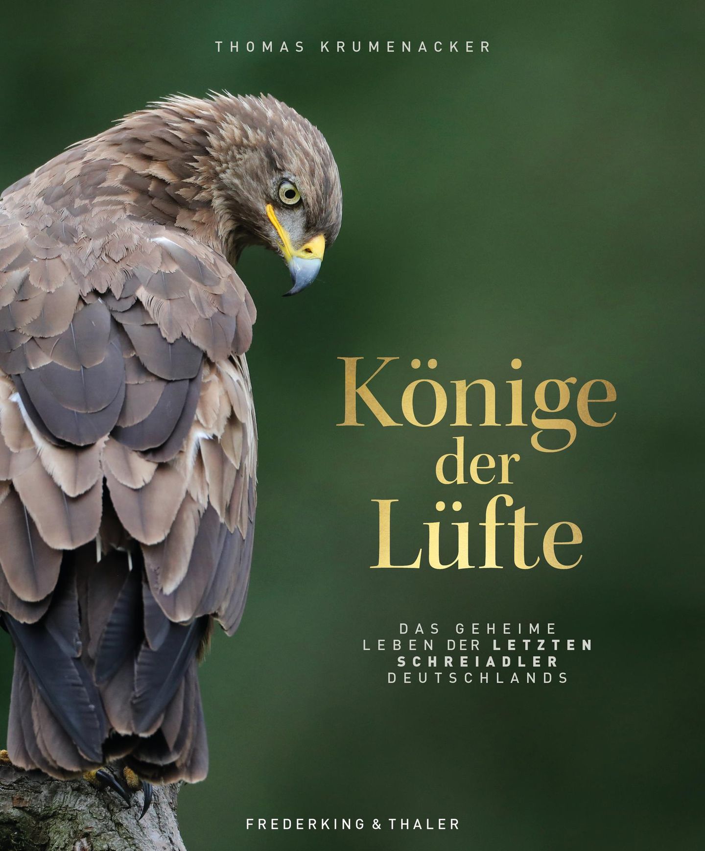 Aus: "Könige der Lüfte: Das geheime Leben der letzten Schreiadler Deutschlands" von Thomas Krumenacker. Erschienen im Verlag Frederking & Thaler, 192 Seiten, 220 Abbildungen, Preis: 32,99 Euro.