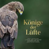 Aus: "Könige der Lüfte: Das geheime Leben der letzten Schreiadler Deutschlands" von Thomas Krumenacker. Erschienen im Verlag Frederking & Thaler, 192 Seiten, 220 Abbildungen, Preis: 32,99 Euro.