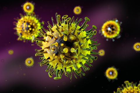 Grippevirus