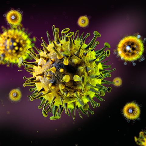Grippevirus
