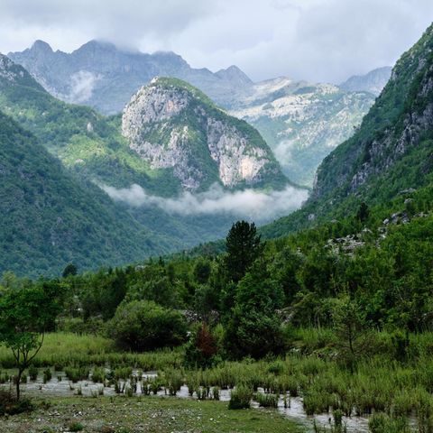 Albanien - Fernab von allem: Am Ende des Theth-Tals in Nordalbanien erheben sich karstige Berge. Die warmen Sommer bringen eine vielfältige Pflanzenwelt hervor