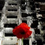 Mohn vor einem zerstörten Gebäude