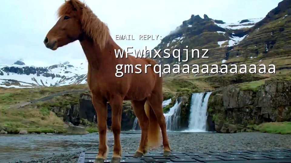Ein Islandpferd steht auf einer großen Tastatur vor einem Wasserfall