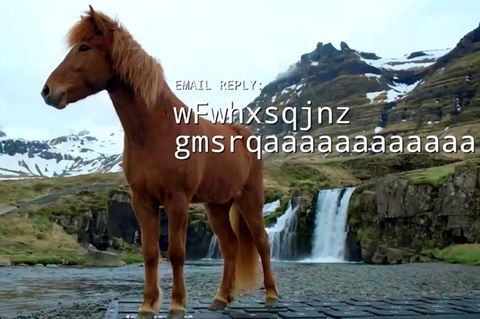 Ein Islandpferd steht auf einer großen Tastatur vor einem Wasserfall